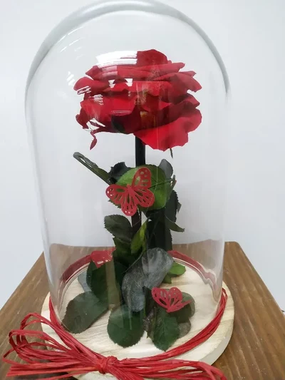 Cúpula con Rosa Roja Preservada