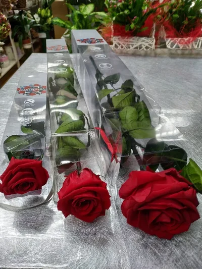 Rosa preservada en caja de acecato