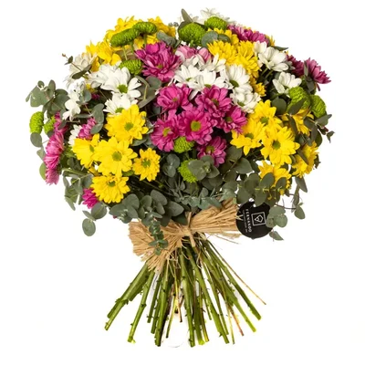 Bloomsy