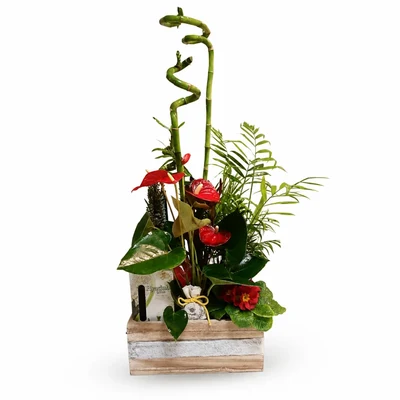 Centros de Plantas