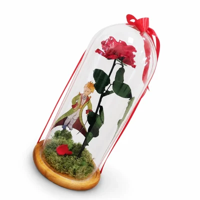 Rosa Preservada en Cúpula de Cristal