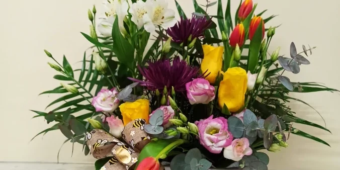 Vivaldi Floristas