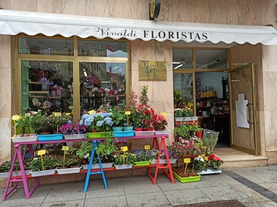 Vivaldi Floristas