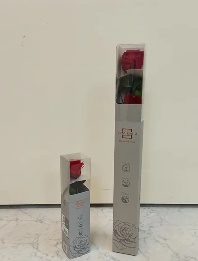 Rosas Preservadas