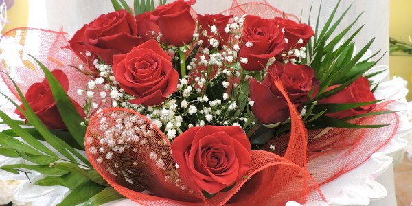 Floristería Abolengo