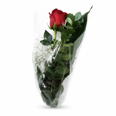 Rosa Preparada