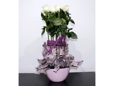 Centros de Flores