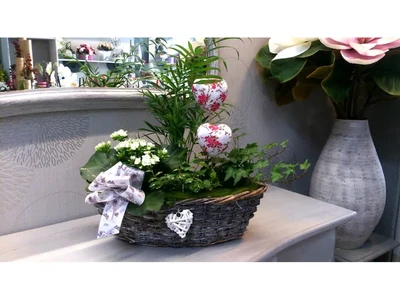Cesta de Mimbre con Plantas