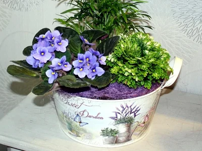 Plantas en Base metálica