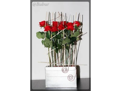 Rosas en Caja Metálica