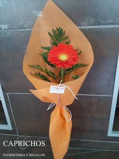 Gerbera preparada para regalo