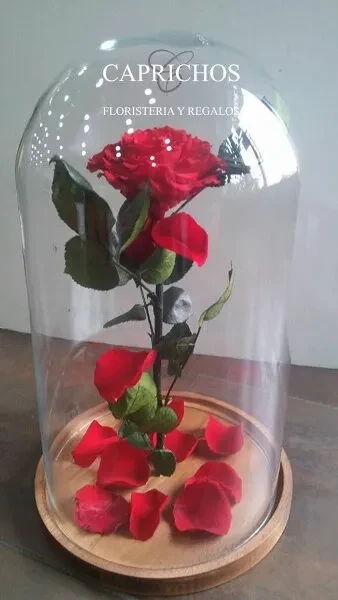 Flor Eterna