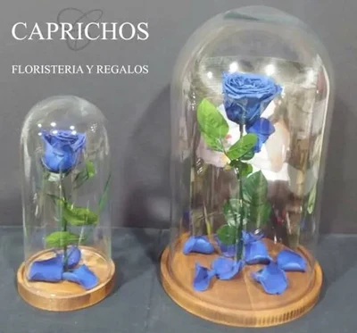 Rosa Preservada en cúpula de Cristal