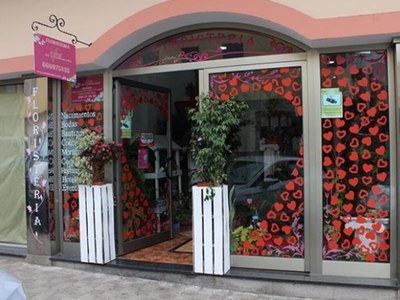 Azahar Arte y Decoración Floral