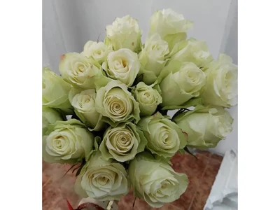 Ramo de Rosas Blancas