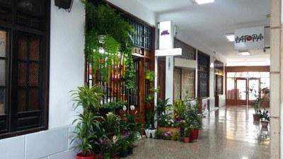 Floristería Kiri