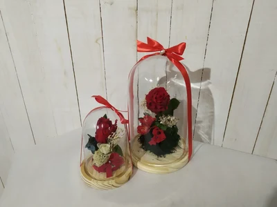 Cúpula de Cristal con Rosa Eterna Roja