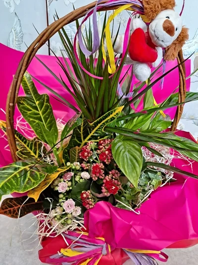 Cesta de Plantas e Peluche