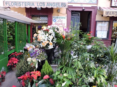 Floristería Los Angeles