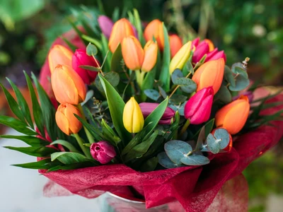Ramo de Tulipanes Multicolor XXL