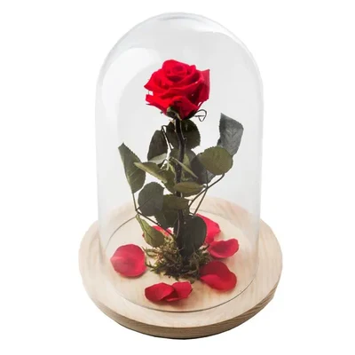 Rosa Preservada en Campana de cristal