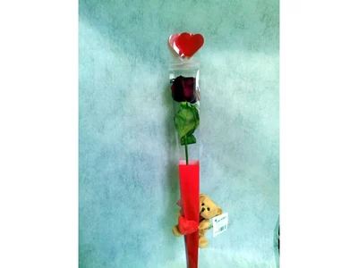 Rosa y Peluche Pequeño
