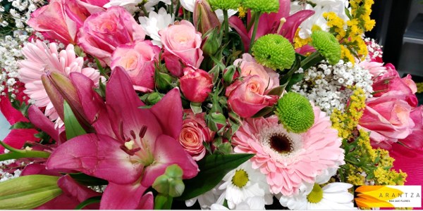 Flores Lliso