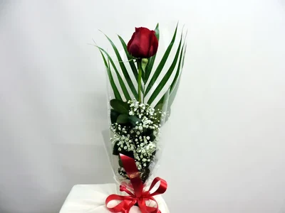 Flores Preparadas