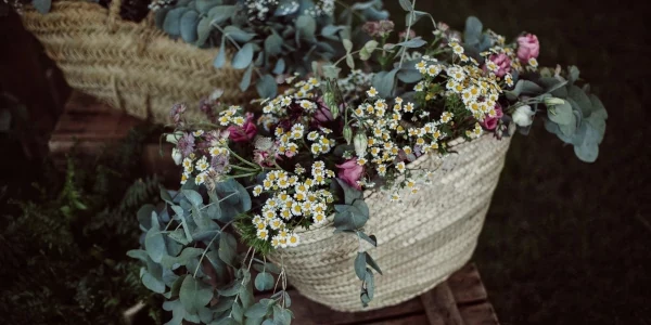 Floristería Bottanico
