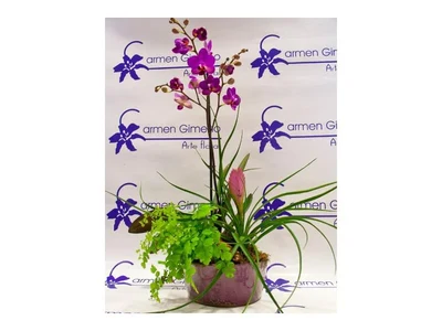 Centros de Plantas