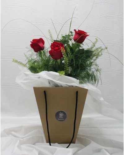 Ramo de 3 Rosas Rojas