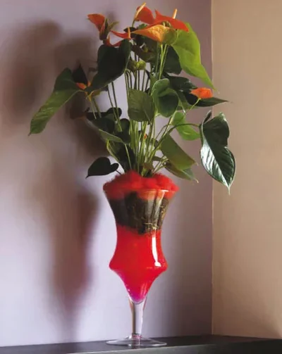 Anthurium Rojo en Copa de Cristal
