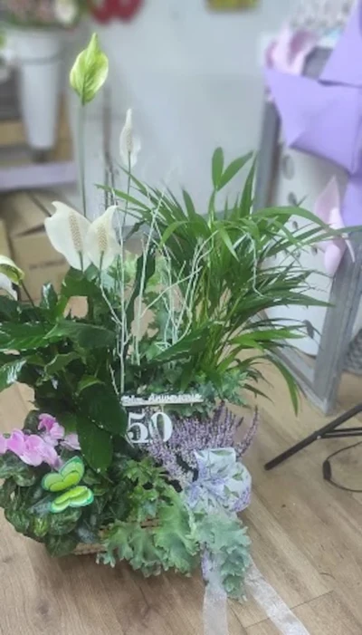 Caja madera de Plantas