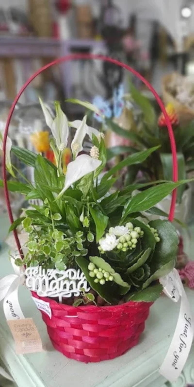 Centros de Plantas