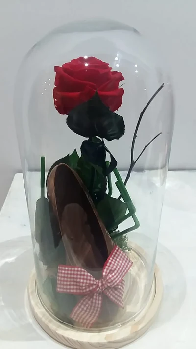 Rosa Eterna Roja + Zapato de Chocolate