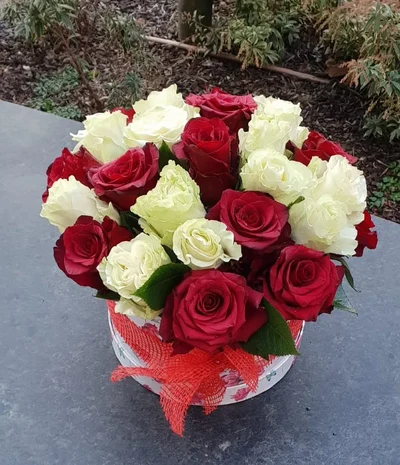 Sombrerero de 24 Rosas Multicolor