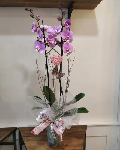 Orquidea en Jarrón de Cristal