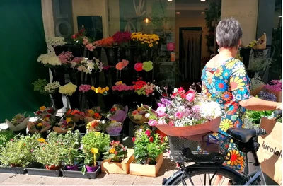 Eguzkilore floristería