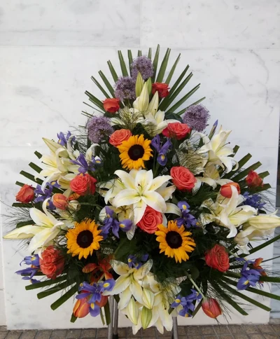 Centro Funerario Colorido