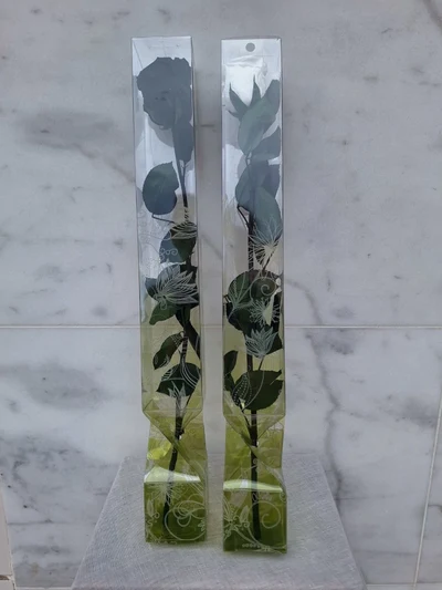 Rosa Preservada en Caja