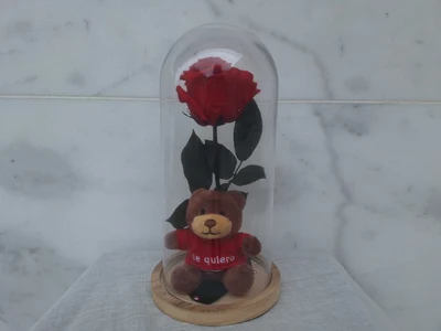 Rosa Preservada en Cúpula de Cristal