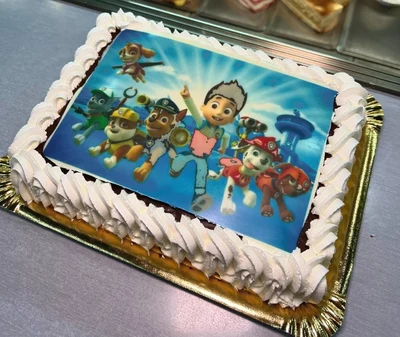 Example cake with PHOTO