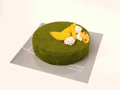 Mango - Cha