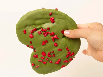 Palmera Matcha