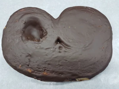 Palmeira de chocolate