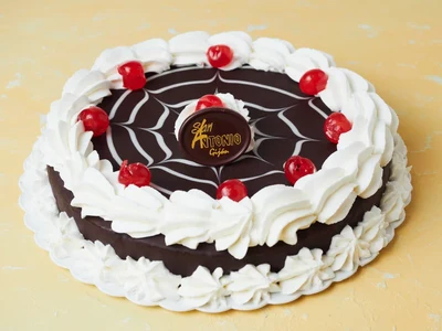Charlotte Cake with PHOTO