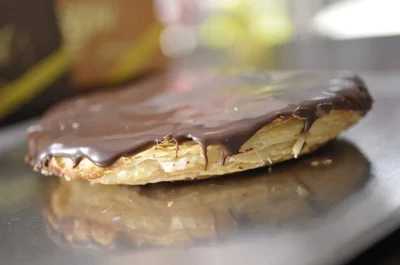 Palmeira de Chocolate