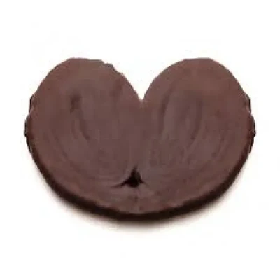 Palmeira de chocolate