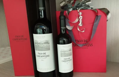Pago de Carrovejas 2017 vintage