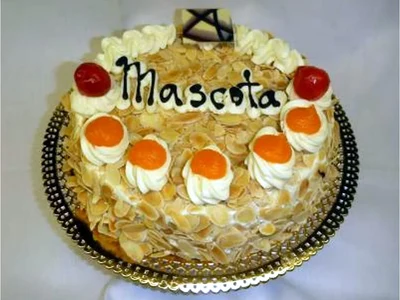 mascota